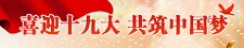 十九大